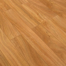 Golden Guadiana Golden Guadiana